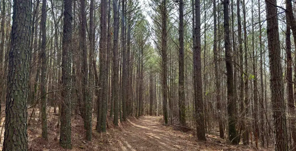 Cedar Creek Falls Retreat Trail