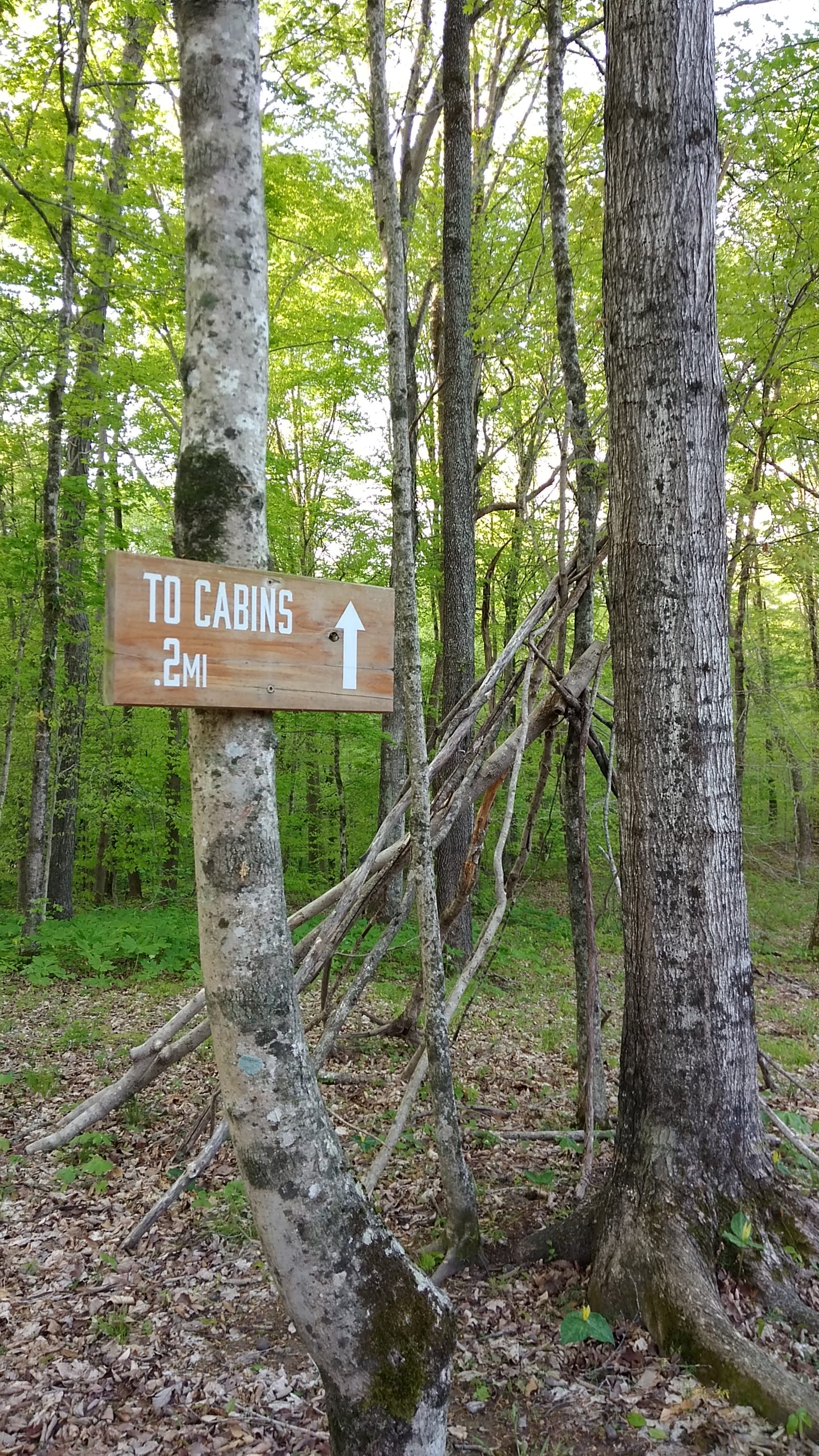 A path to the cabins