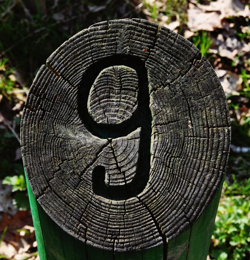 A log cut and stamped 9